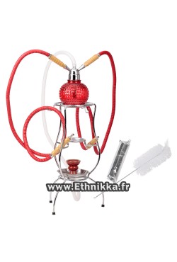 Chicha sur pied Chicha sur pied