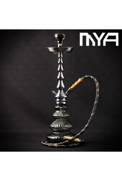 Chicha Mya Luna